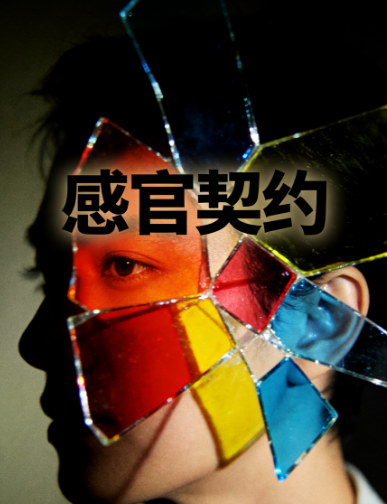 感官契约